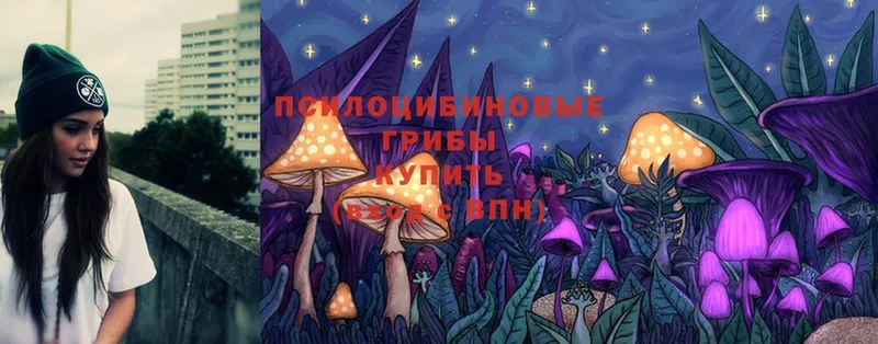 Псилоцибиновые грибы Psilocybe  Чкаловск 